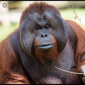 Meet your Posher, Maureen